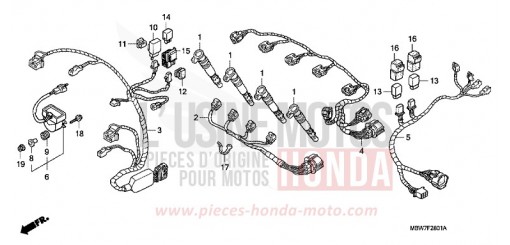 SUB HARNESS CBR600F5 de 2005